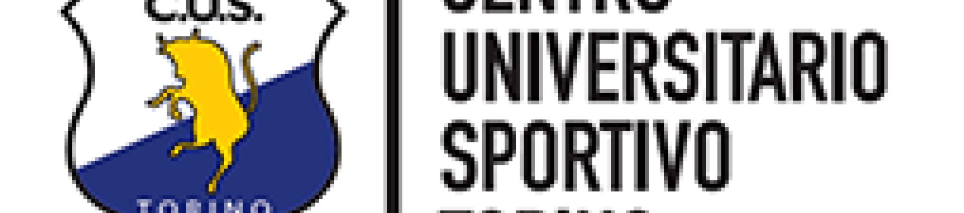Torneo bronze maschile 6/4 CUS Torino Torneo bronze maschile 6/4 CUS Torino